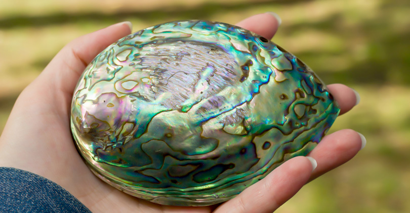 What Is Mother-of-Pearl (Nacre)